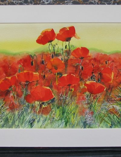 Coquelicots Aquarelle