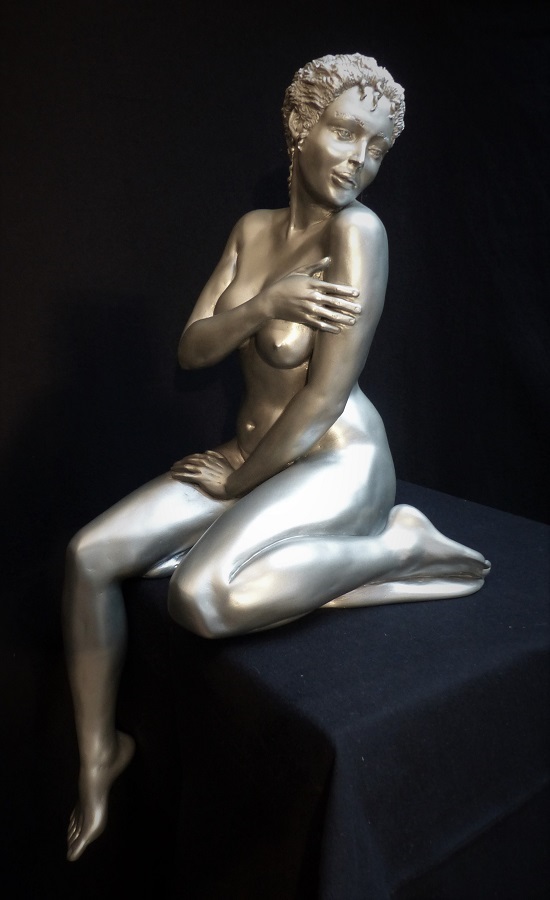 la delicate 11,1 kg h 66 l 28 l 28 cm Sylvie Bourély